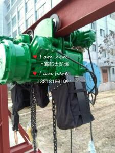 防爆環鏈電動葫蘆